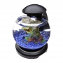 Acrylic Fish Tank - AM-FT-0102